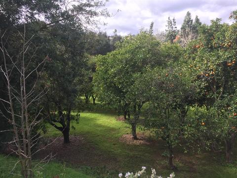3133 Montesano Rd, Escondido, CA 92029 photo 24