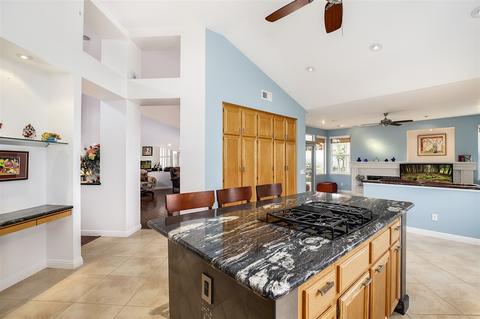 353 Point Windemere Pl, Oceanside, CA 92057 photo 9