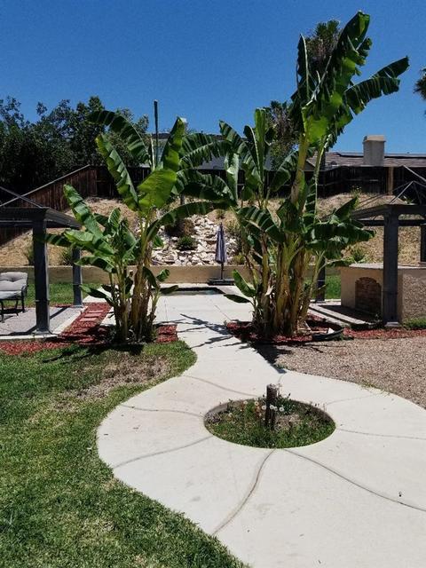 16098 Coyote Springs Ln, Moreno Valley, CA 92551 photo 18
