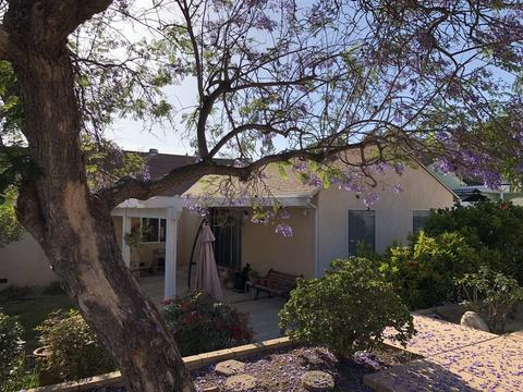 3881 Harris St, La Mesa, CA 91941 photo 10