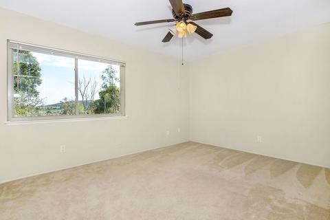 10003 Canyontop St, Spring Valley, CA 91977 photo 15