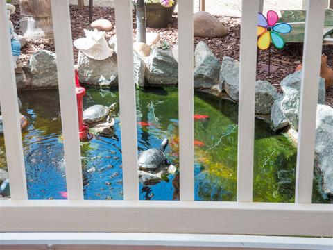 1304 Marshall Rd, Alpine, CA 91901 photo 11