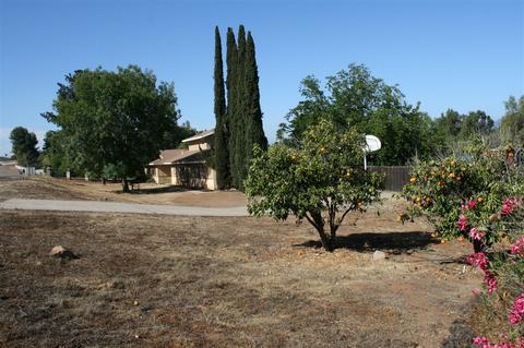 14153 Jamul Dr, Jamul, CA 91935 photo 11