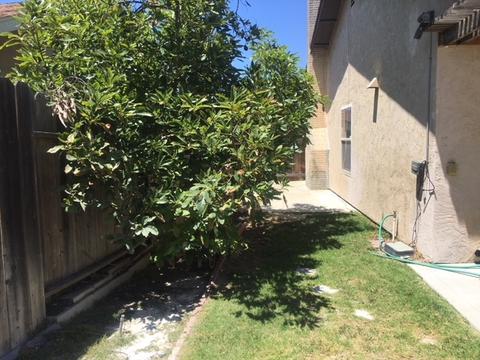 4137 Terry, Oceanside, CA 92056 photo 12