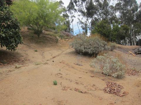 1238 Avocado Summit Dr, El Cajon, CA 92019 photo 19
