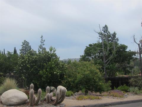1238 Avocado Summit Dr, El Cajon, CA 92019 photo 21