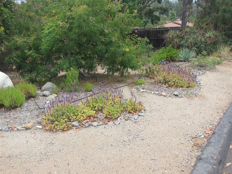 1238 Avocado Summit Dr, El Cajon, CA 92019 photo 22