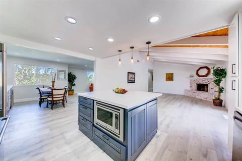 1330 Desert Rose Way, Encinitas, CA 92024 photo 11