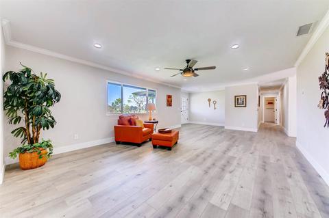 1330 Desert Rose Way, Encinitas, CA 92024 photo 7