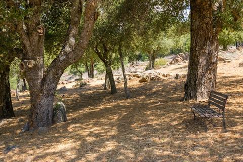 3255 Pine Hills Rd, Julian, CA 92036 photo 25