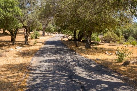 3255 Pine Hills Rd, Julian, CA 92036 photo 20