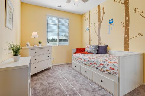 10199 Star Magnolia Ln, Santee, CA 92071 photo 12
