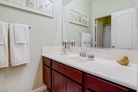 10199 Star Magnolia Ln, Santee, CA 92071 photo 11