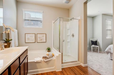 10199 Star Magnolia Ln, Santee, CA 92071 photo 6