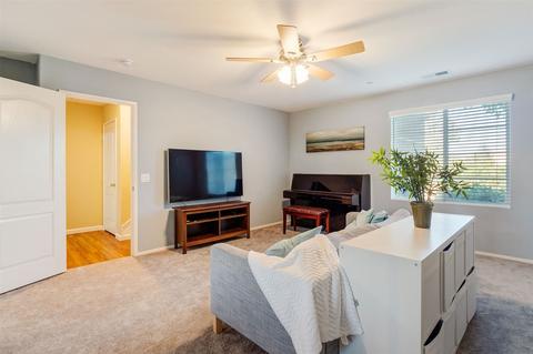 10199 Star Magnolia Ln, Santee, CA 92071 photo 13