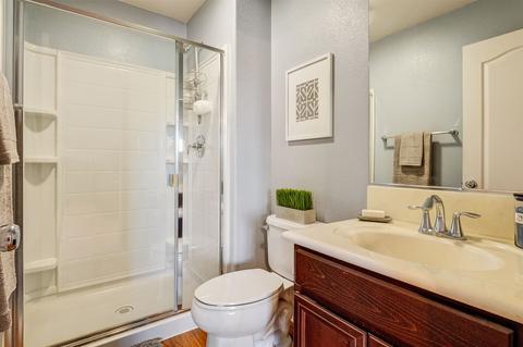 10199 Star Magnolia Ln, Santee, CA 92071 photo 15