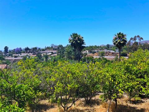 2332 Percussion Ct, El Cajon, CA 92019 photo 8