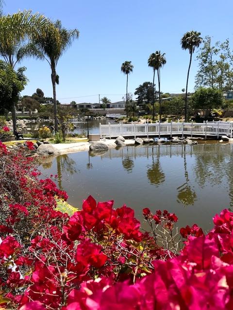 164 Horizon Ln, Oceanside, CA 92056 photo 21