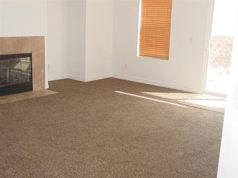 1215 Buckwheat Trl, Campo, CA 91906 photo 8