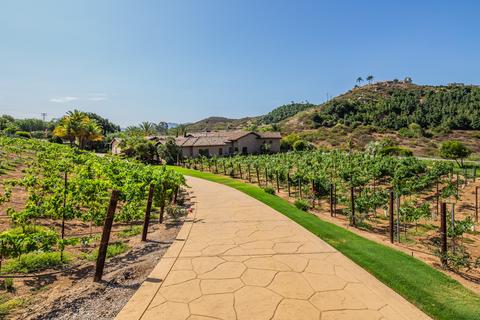 1923 Dentro De Lomas, Bonsall, CA 92003 photo 4