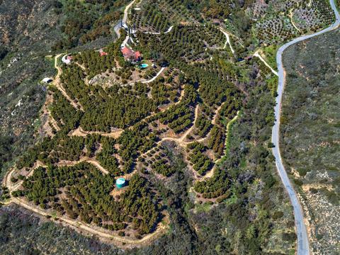 3450 W Sandia Creek Ter, Fallbrook, CA 92028 photo 6