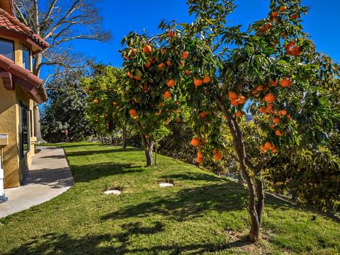 3450 W Sandia Creek Ter, Fallbrook, CA 92028 photo 11