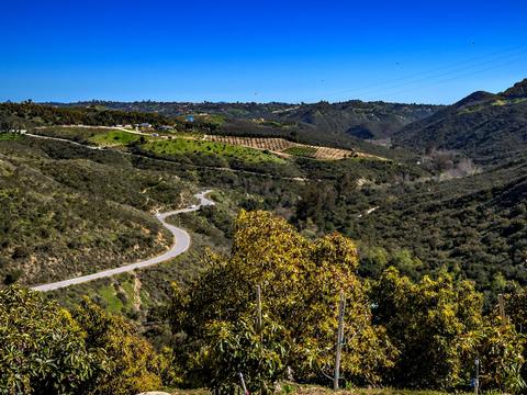 3450 W Sandia Creek Ter, Fallbrook, CA 92028 photo 25