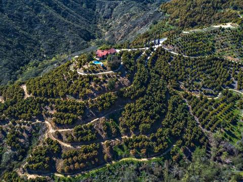 3450 W Sandia Creek Ter, Fallbrook, CA 92028 photo 13