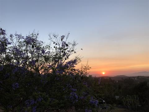 4951 San Jacinto Cir, Fallbrook, CA 92028 photo 13