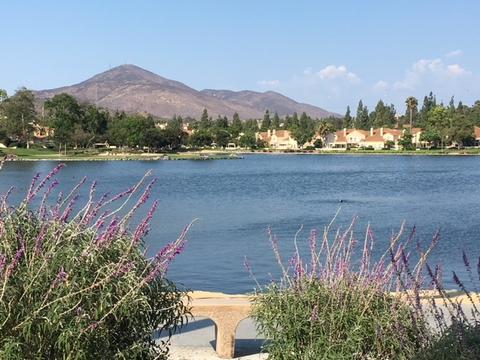 740 Brookstone Rd #102, Chula Vista, CA 91913 photo 4