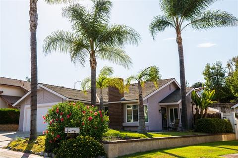 10536 Pine Grove St, Spring Valley, CA 91978 photo 1