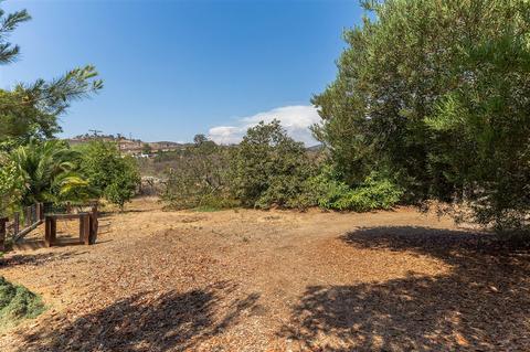 3410 Adams Run, Encinitas, CA 92024 photo 25