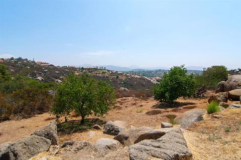 3411 Big Boulder Ln, Alpine, CA 91901 photo 19