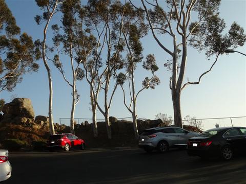 10777 Andrea Ter #C, Santee, CA 92071 photo 20
