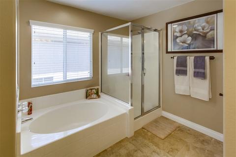 1524 River Dance Ct, Alpine, CA 91901 photo 16