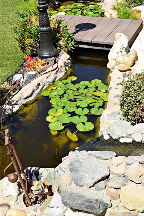 9225 Jovic Rd, Lakeside, CA 92040 photo 22