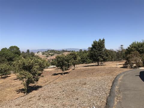 3903 Via Monte Alegre, Bonsall, CA 92003 photo 13