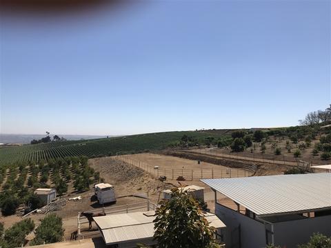 3903 Via Monte Alegre, Bonsall, CA 92003 photo 17