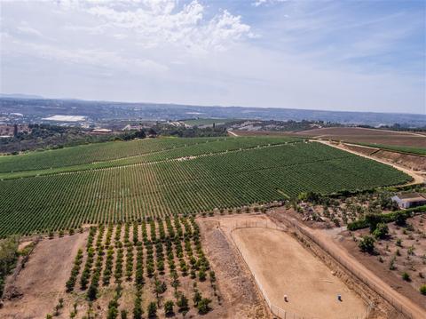 3903 Via Monte Alegre, Bonsall, CA 92003 photo 14
