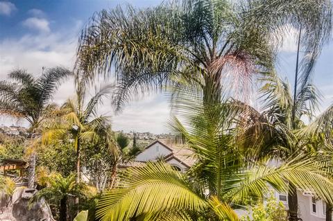 1143 Alexandra, Encinitas, CA 92024 photo 23