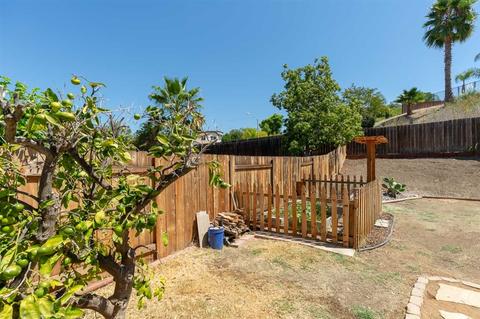 8547 Dortha Ct, Santee, CA 92071 photo 22