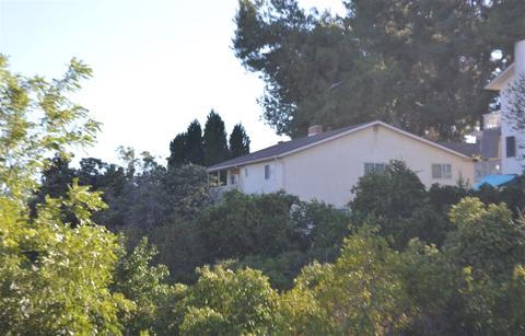3632 Prince St, Escondido, CA 92025 photo 6