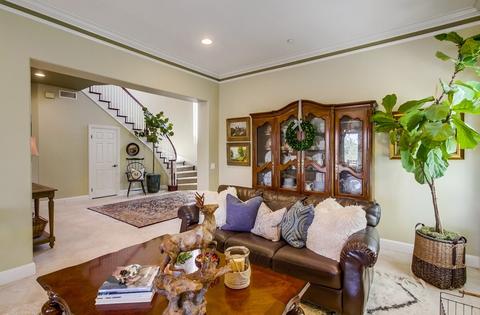 616 Cypress Hills Dr, Encinitas, CA 92024 photo 7