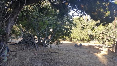 1771 Grove Rd, El Cajon, CA 92020 photo 7