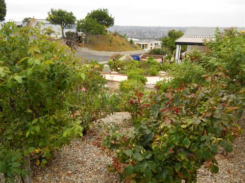275 S Worthington St #109, Spring Valley, CA 91977 photo 16