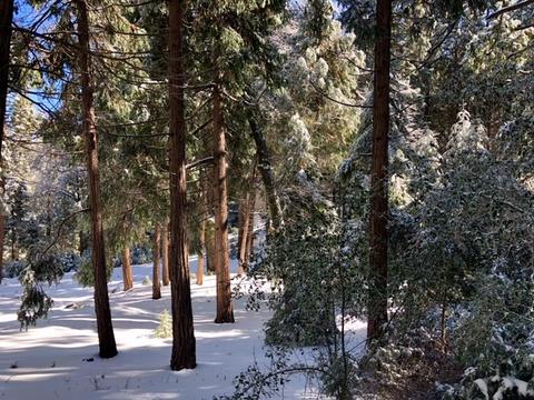 22296 Crestline Rd, Palomar Mountain, CA 92060 photo 5