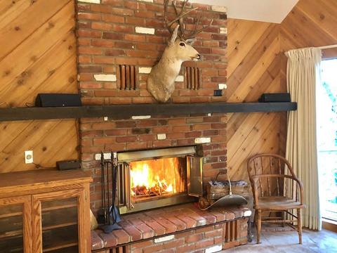 22296 Crestline Rd, Palomar Mountain, CA 92060 photo 6