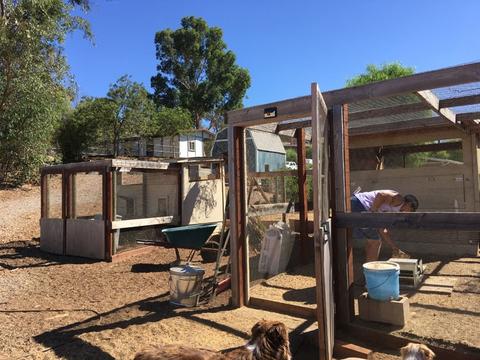 1723 Cedar St, Ramona, CA 92065 photo 11