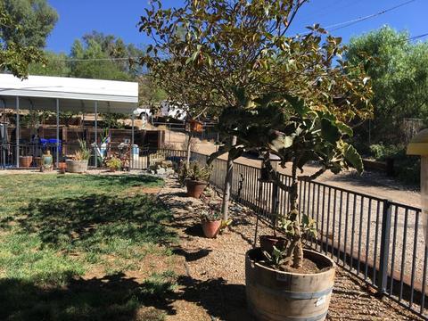 1723 Cedar St, Ramona, CA 92065 photo 14