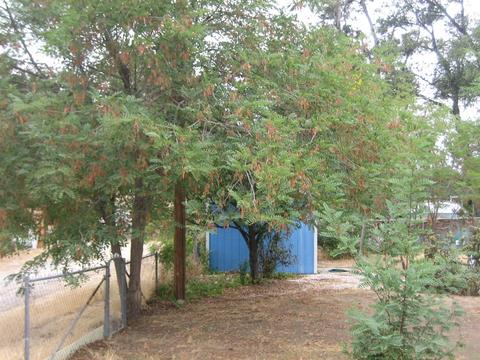 2434 Gladiola Dr, Campo, CA 91906 photo 7